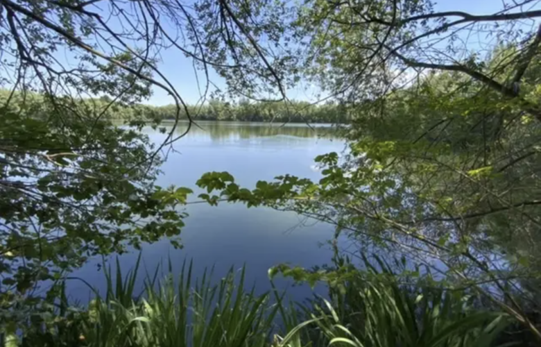 Idyllisches Naturgrundstück mit See und Gehölzbestand